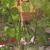 注意了的头像