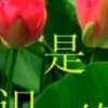 幻听的头像