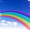 Rainbow的头像