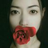 红玫瑰的春夏秋冬的头像