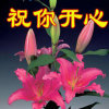 祝你开心的头像