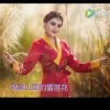 美玲的头像