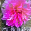 zhenshen'yuwo,tongzai的头像