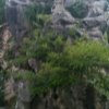 一生平安的头像