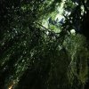 一心一意的头像