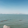 流浪汉的头像
