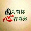 宋菊的头像