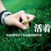 ♬♡财源♡♬的头像