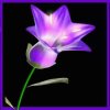 雨后彩虹《互粉》的头像