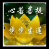 心若菩提，步步生莲的头像