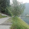 Llan的头像