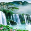 清风明月的头像
