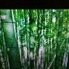 幸福一家的头像