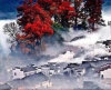 京国的头像