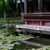 回忆的头像