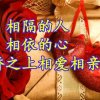 相聚是缘的头像