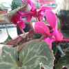 知足常乐的头像