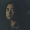 布鲁塞尔。的头像