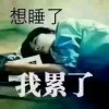  艳子的头像