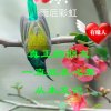 彩虹的头像