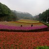 随缘遇见的头像