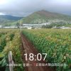 玖月的头像