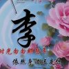 隐形的翅膀的头像