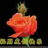 忘不了，的头像