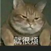 静爷的头像