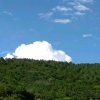 守望幸福的头像