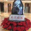 hh的头像