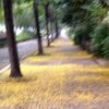 贵在坚持……！的头像