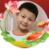 子衡的头像
