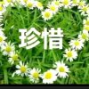 心语的头像