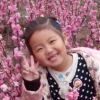 岁月如歌的头像