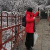 纤指针情的头像