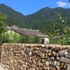 埃米的头像