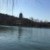 无言的头像