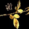 一无所有的头像