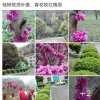常乐（暂退）的头像