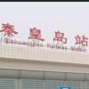 站着等你三千年的头像