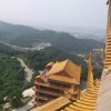 白云的头像