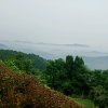 幸福安康的头像