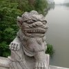 心静自然凉的头像