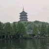 苌潞镘镘《退》的头像