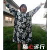 金叶的头像