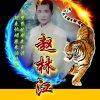 狼神铭思名的头像