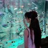 的头像