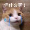 晨的头像