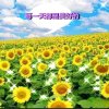 曹良平的头像